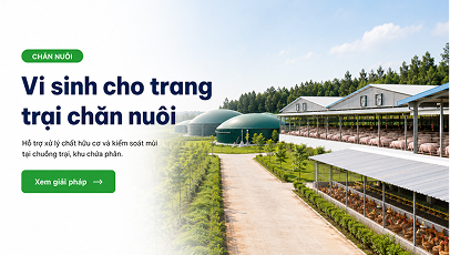 Vi sinh cho trang trại chăn nuôi