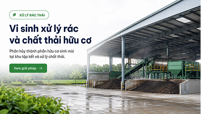 Vi sinh xử lý rác và chất thải hữu cơ