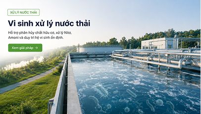 Vi sinh xử lý nước thải