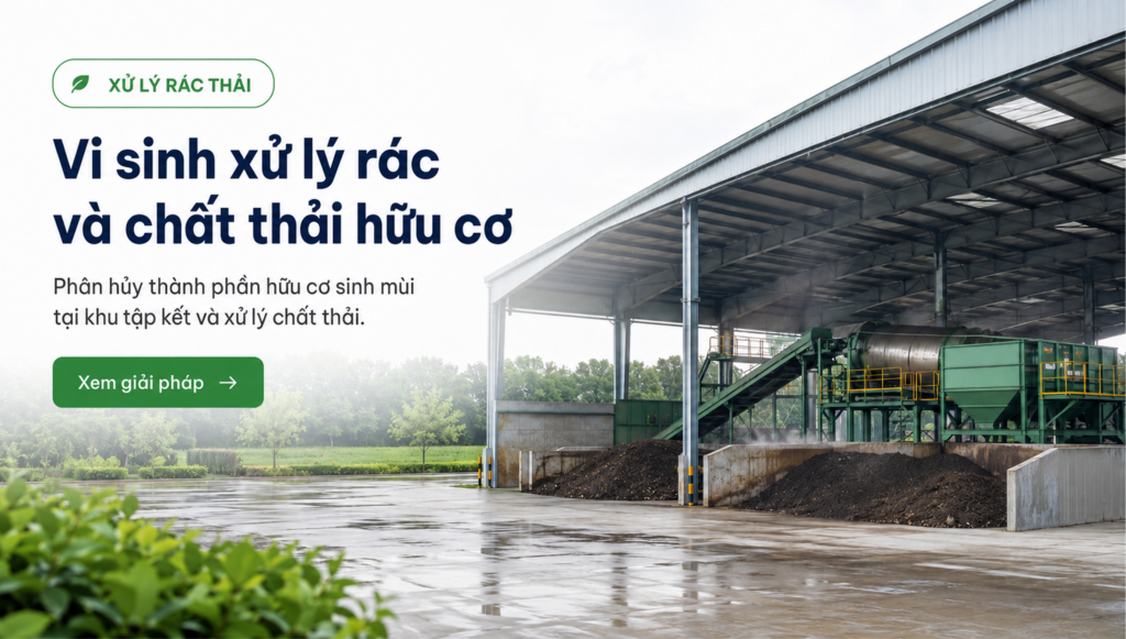 Vi sinh xử lý rác và chất thải hữu cơ