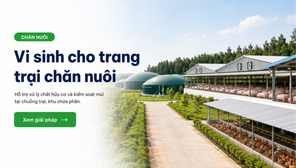 Vi sinh cho trang trại chăn nuôi