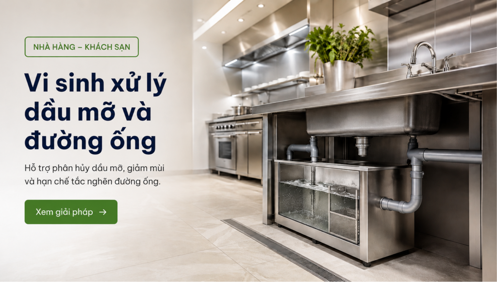 Vi sinh xử lý dầu mỡ và đường ống cho nhà hàng khách sạn