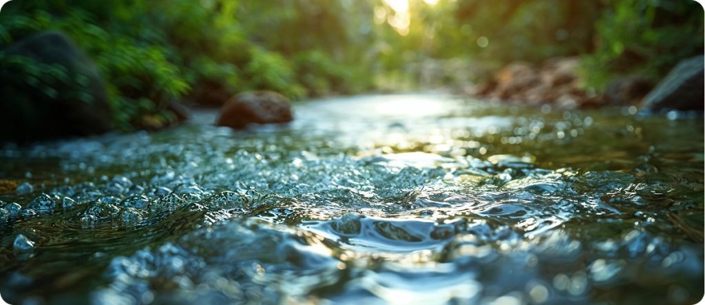 Vòng tuần hoàn của nước trong tự nhiên