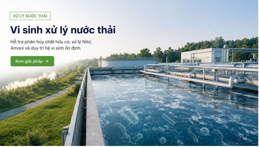Vi sinh xử lý nước thải